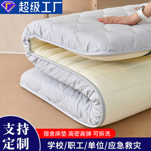Hard Cotton Mattress Customized Student Dormitory Universal Thickened Mattress Factory Wholesale Single Mattress Dormitory Mattress