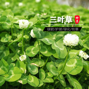 ���l���~�ݷN�����\�ݼt���~�����~�����ļ������ͺ��G����ƺ�N��