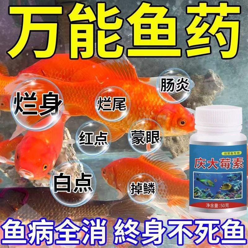 クエンタミシン魚専用、腐った体、腐った尾、白い斑点、白い毛、リンの欠落、目隠し、殺菌、消毒、リハビリテーション、殺菌|undefined