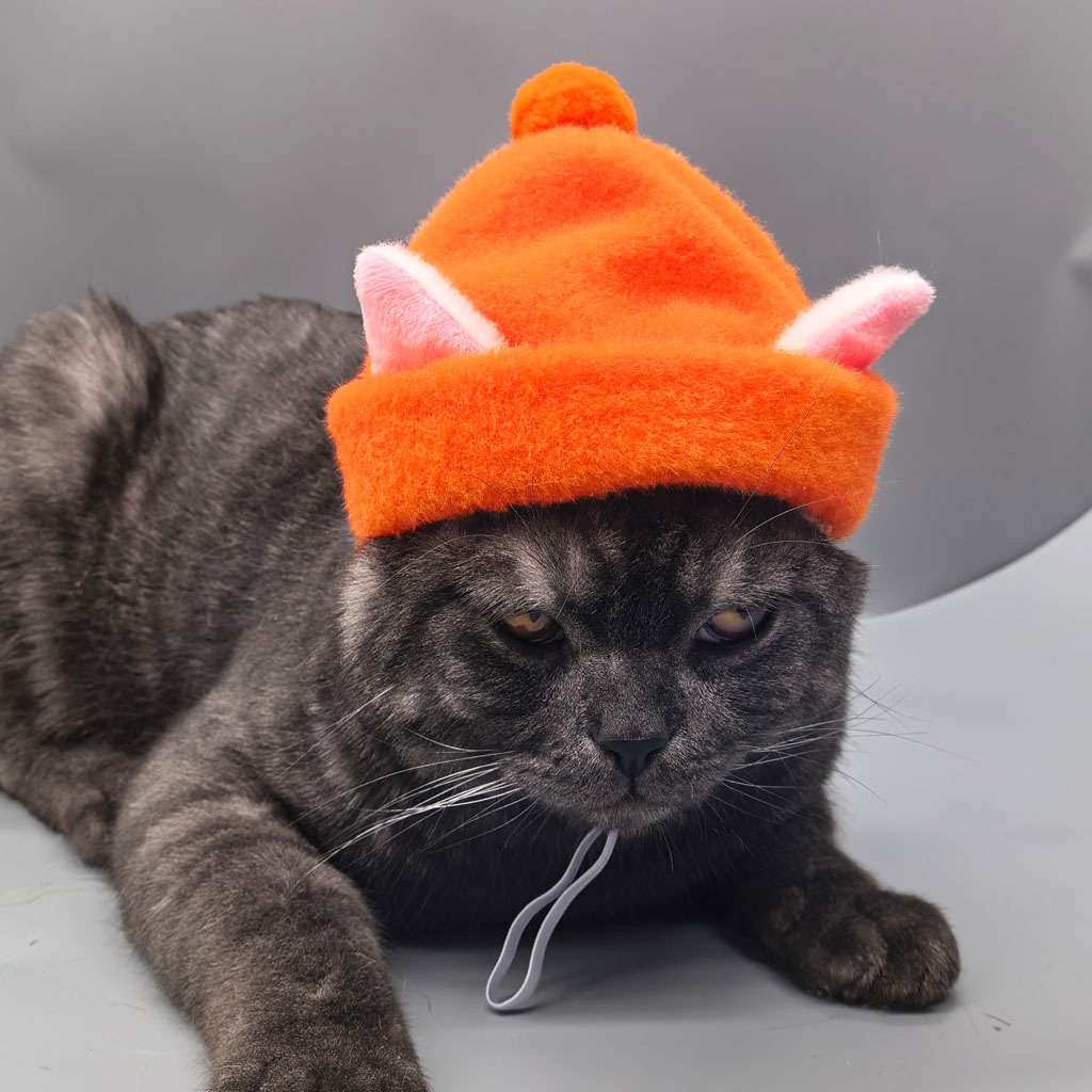 Gorro de pelagem sintética de coelho para gatos e cães_voghion.com