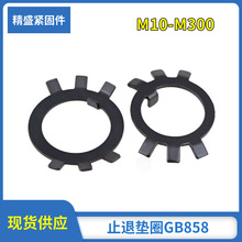 厂家批发  圆螺母用止动垫圈 止退垫圈   止退垫圈  GB858 10-300