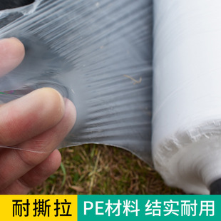 Mulch Film, Vegetable Greenhouse Film, Thermal Insulation and Moisturizing Orchard Transparent Plastic Engineering Film, Planting Protection Film