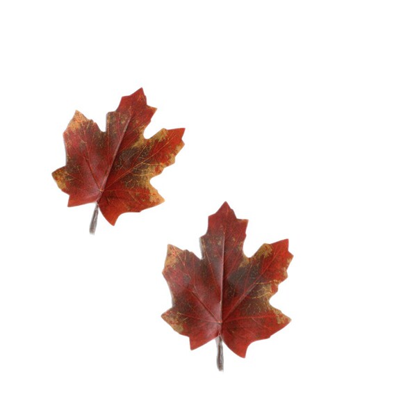Realistic maple leaf