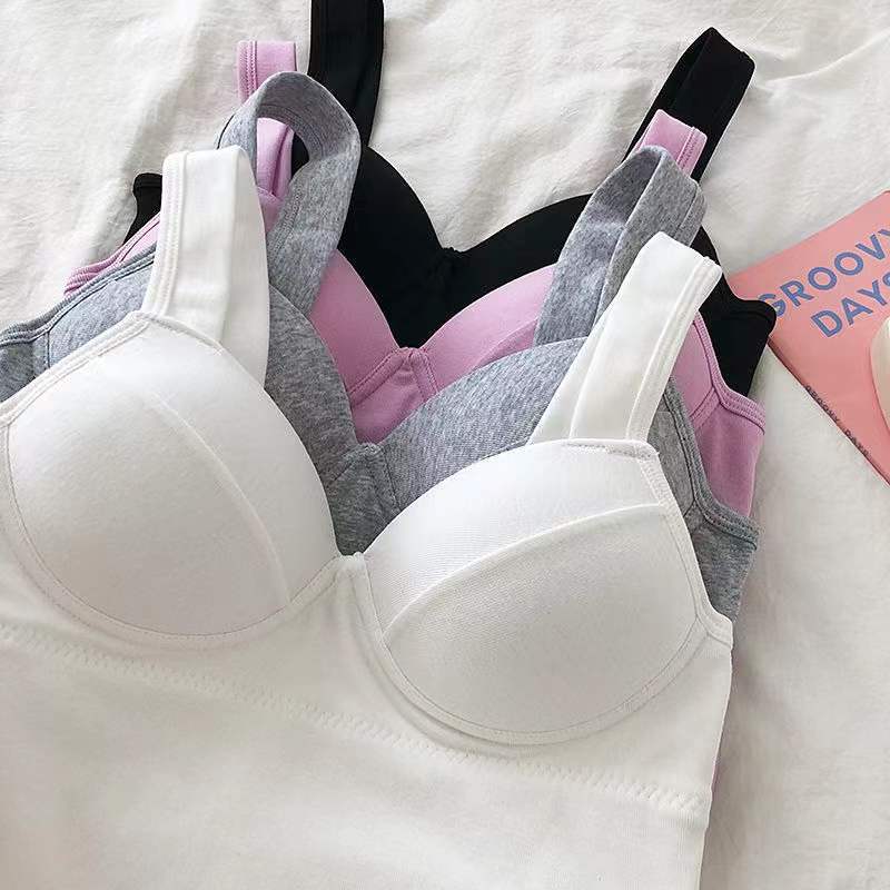 e6b41e65ffff37df1084e2e4becd08