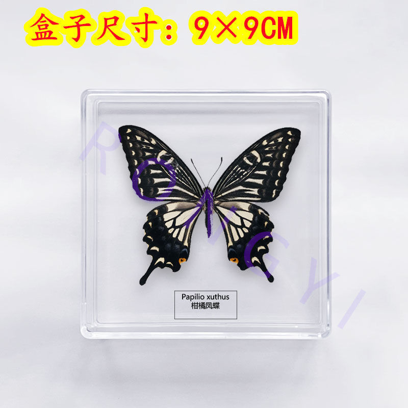 5b8f4abe-13e4-4eda-b947-9094f37a78d4.jpe