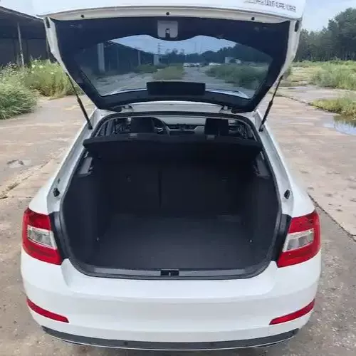 3U0823359 适用于SKODA 斯柯达 自锁型气弹簧 气弹簧支撑杆