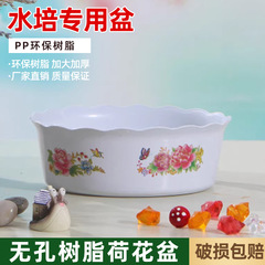 厂家直销碗莲盆盆子塑料花盆盆水培花盆圆睡莲铜钱草白色花边水仙