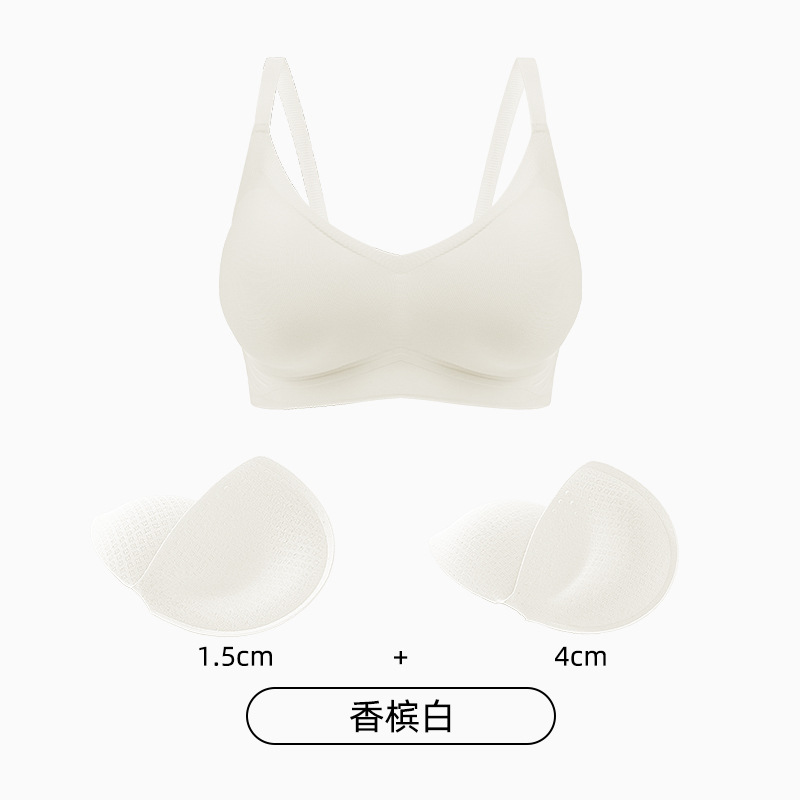 샴페인 화이트