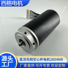 2854NR空心杯电机厂家直供应用于高精度电批医疗器械电动窗帘