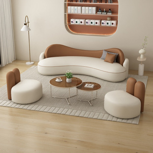 Nordic Sofa for Small Apartments, Light Luxury Clothing Store, Beauty Salon, Curved Seating Area, Modern Reception, Business Leather Art Sofa