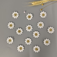 ����2.5؈��С�r��ţ�̽z���� �������ֹ��l�A�����ñ���o��