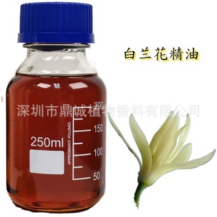 �����㾫�͡����m���Ͱ��m���܄���ȡ���m��MICHELIA ALBA������