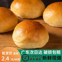 美式汉堡胚60个热狗胚半成品黄油面包胚食材速食烘焙商用批发摆摊