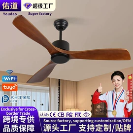 风扇灯;吸顶灯;吊扇