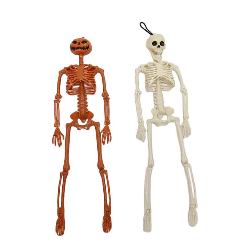 骷髅骨架 (5).jpg