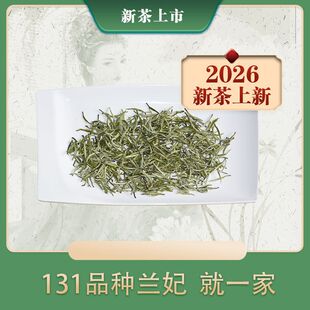 2026�²��������ѩѿ�m����50��  �Ĵ�������̤ѩ¶ѿ�m���m��