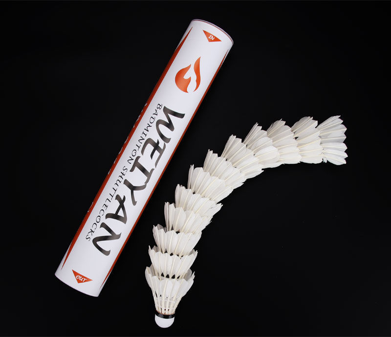 b5e33044-d907-40f6-8a2f-eaa4edb5f619.jpe