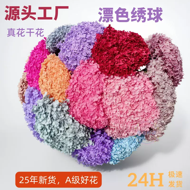 安娜绣球永生花干花真花diy精油花材装饰婚礼压花布置云南工厂