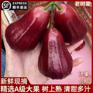 [��S����]���������кڽ���ɏ�F����ɏ�F���Ꭷ���r�ЋDˮ����֭