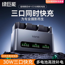 Gnp-fz100C늳س30WpXmC