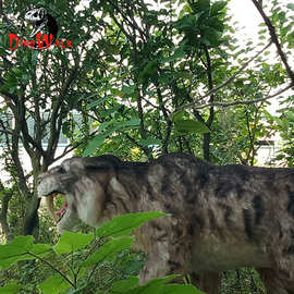 剑齿虎老虎猛兽仿真动物模型动态模型玩具厂家出租出售