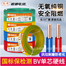 �V�|��ͨ��|�����~оBV�ι�1.5/2.5/4/6/10ƽ�����b�Æ�оӲ늾�