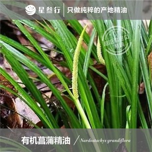 �ЙC���Ѿ����Ჴ���a�����wspa��Ħ������޹��ֲ��η�����ԭ��