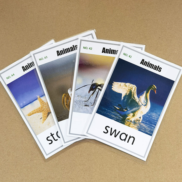 英语卡片闪卡45张塑封动物认知儿童单词卡片宝宝早教启蒙教师教具-阿里巴巴