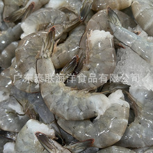 31-40�o�^�r�΃��� �r��Դ�^���Sԭ�϶�϶ࠖ�o�^�r