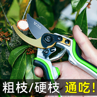 �@ˇ�����P䓈@�ֹ��ߴ�ȫ�G���ɹ����ܼ��ӹ�����֦����