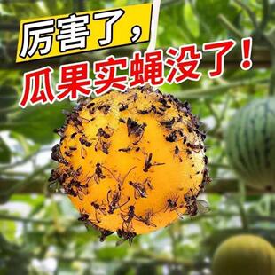 �Tω����ٴ�ω����ճ�x����@�Ϲ���ωճω��ճ��ωᘷ��T����