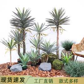 仿真龙舌兰凤尾龙舌兰绿植龙血树盆栽剑麻盆景家居装饰植物批发