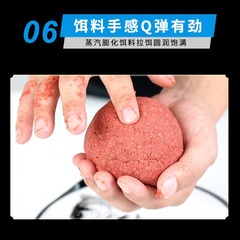 釣魚王 今天去釣魚300克 釣魚餌料野釣秋冬季鯽鯉魚餌料魚料魚食