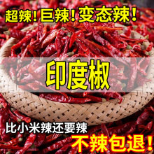 印度魔鬼椒500g干辣椒特辣魔鬼辣火锅辣卤干调味料辣椒厂家批发