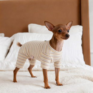 С¹Ȯ�·��ﶬ���¿ů�l�y�B�w���_�¹���С��Ȯ���ś��Ҿӷ�