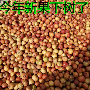 ����ـ��Ƥ������Ƥԭ�������ɢ�ѐ�ħ��ʹ�P������������������