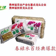 ����ˮ̦�����m���àI�B��ˮ̦�����m������������ˮ̦�\