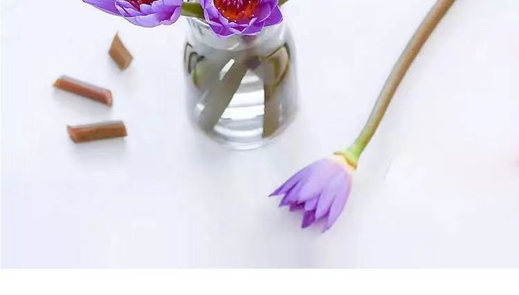 d28f2c89-d208-40f7-b7e5-d960bb1e28a5.jpe