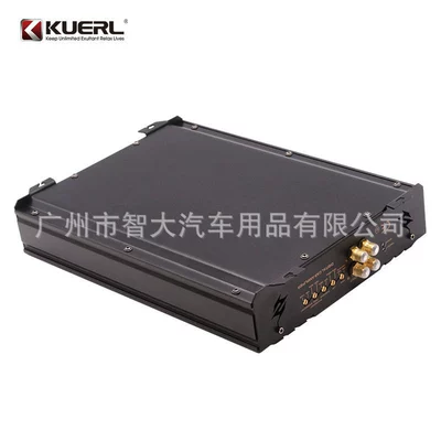 D digital car amplifier, Car speaker/subwoofer