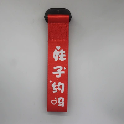 Trailer rope/net/strap Sticker Ribbon Tow Hook Front - reflective-words-do-you-want-to-date-a-girl