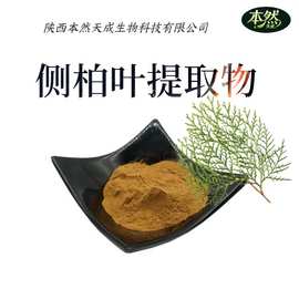侧柏叶提取物30:1水溶性侧柏叶粉植物萃取扁柏柏子树提取物批发