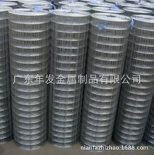 �S��ֱ�N�⠝�F�z�W�Ƞ����ѾW늺��WĨ���W늺��W���Bֳ늺��W��