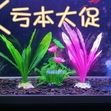 鱼缸造景装饰水草仿真水草荷花塑料水草水族箱造景布景摆件 包邮