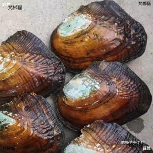 ������Լ��_��ȡ���鵭ˮ������Ӱ���������r����մ����l