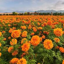 �f�۾շN�Ӿջ��N���ļ��׻��ɫ��ܽ�ػ��N����������ԷN�Ѱ��]