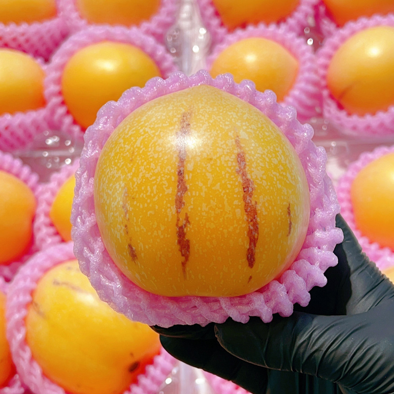 Yunnan Stone Forest人参果5斤fresh large fruit passion fruit colorful yellow flesh tree ripe fruit round fruit free shipping 3