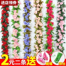 õ廨ٗlbٻړů{ˮܵp@ֲ