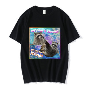 My Pain Is Chronic But My Ass Is Iconic Meme T Shirt Raccoon