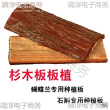 ʯNֲʯľҒ쾰mԻ|mrI