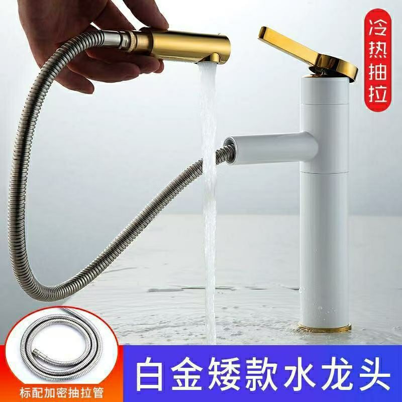 Cross-border European-style rotating pull-out faucet for bathroom washbasin, countertop basin, and bathroom sink with hot and cold water Cross-border European-style rotating pull-out faucet for bathroom washbasin, countertop basin, and bathroom sink with hot and cold water